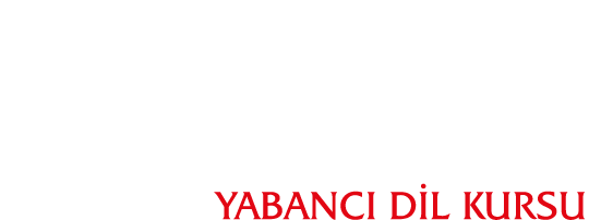 Amerikan Kültür Taksim